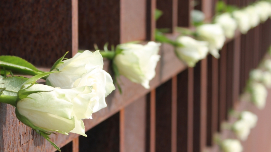 Rosen im Fenster des Gedenkens