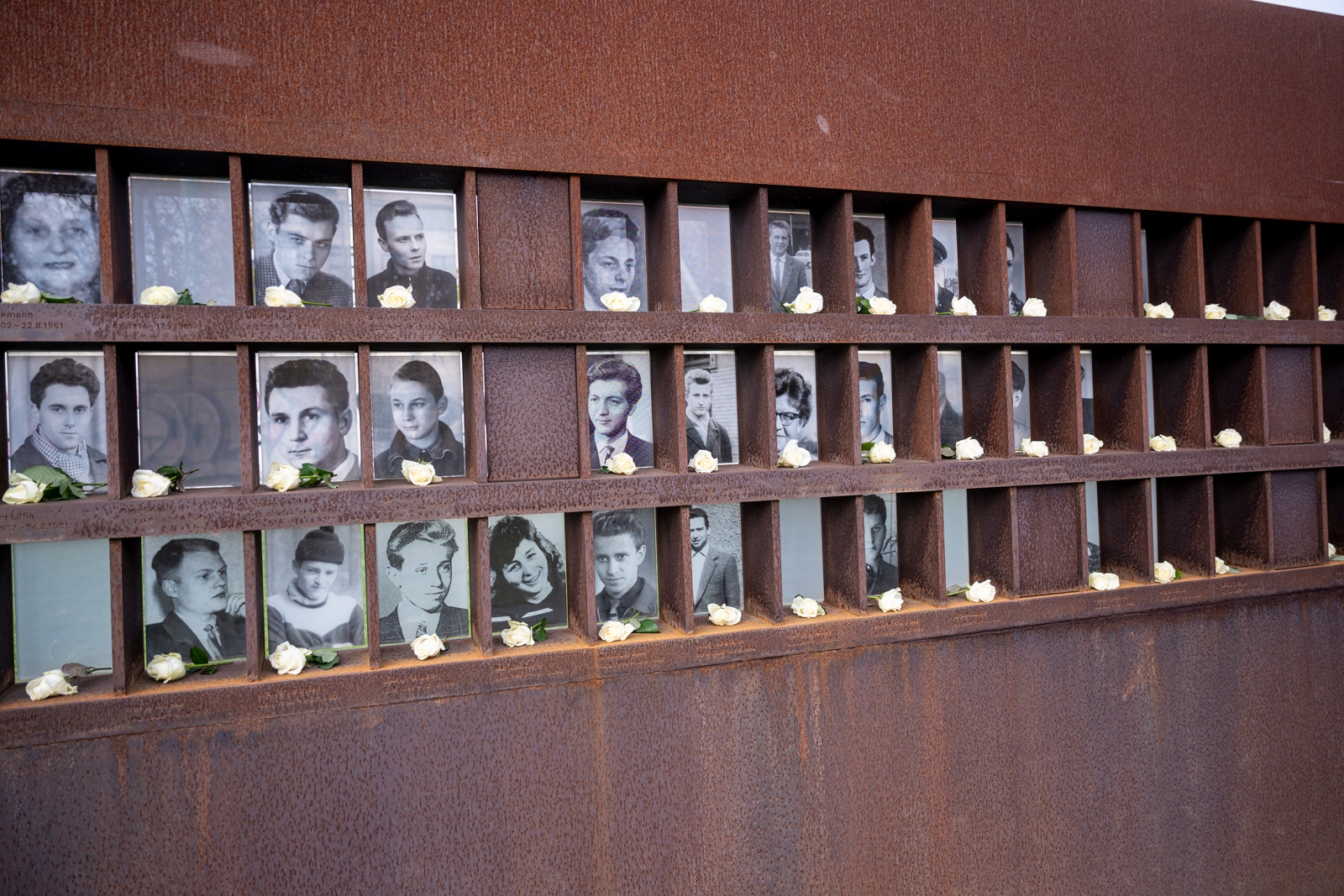 Fenster des Gedenkens mit weißen Rosen
